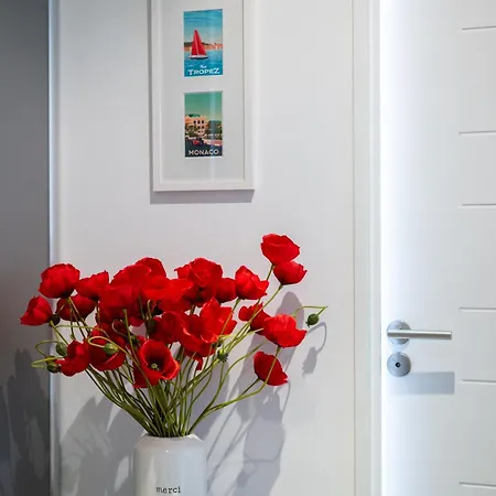 Apartment Le Coq Wagner - Parking - Air Conditioning - Pool *